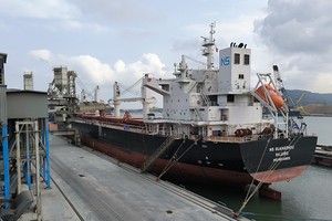 Kim ngạch xuất khẩu sử dụng ưu đãi thuế quan theo các FTA tăng nhanh