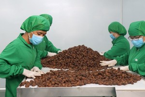 Tính chung 5 tháng đầu năm, giá trị xuất khẩu nông sản tăng 27,7%.