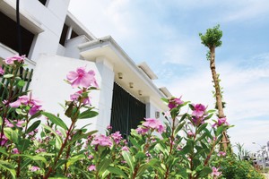 Các luật có hiệu lực sớm hơn kế hoạch sẽ là trợ lực tốt hơn cho giai đoạn đầu phục hồi này. Ảnh: Dũng Minh 