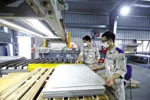 Nhà máy Neofloor tại Khu công nghiệp DeepC Hải Phòng. Ảnh: Đức Thanh