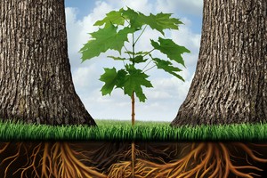 Giảm sở hữu chéo ngân hàng, cần thêm công cụ