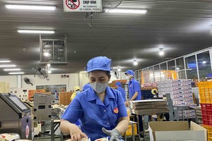 Doanh nghiệp Việt còn nhiều hạn chế trong đổi mới sáng tạo theo hướng công nghệ xanh