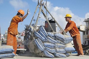 Giá xuất khẩu clinker và xi măng liên tục giảm sâu trong thời gian gần đây.