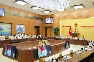 Phó chủ tịch Quốc hội Nguyễn Đức Hải phát biểu kết luận