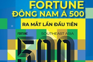 Tập đoàn Bảo Việt (BVH) - doanh nghiệp duy nhất trong bảo hiểm tại Việt Nam, lần đầu tiên được xếp hạng trong Fortune Đông Nam Á 500