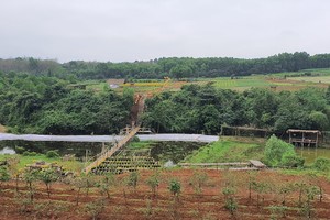 Khu du lịch sinh thái Rú Lịnh đặt mục tiêu đón khách quốc tế vào năm 2025