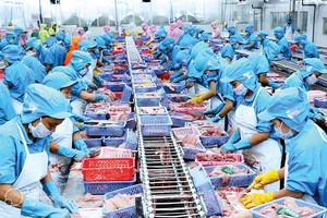 Ngành thủy sản lo tắc nghẽn nguồn nguyên liệu
