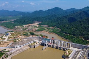 Bộ Nông nghiệp và Phát triển nông thôn đang tập trung chỉ đạo đẩy nhanh tiến độ các dự án đầu tư công năm 2024.