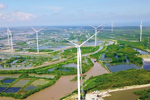 Toàn cảnh Dự án điện gió Sunpro tại huyện Bình Đại (Bến Tre)