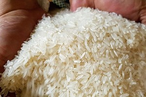 Dự báo nhập khẩu gạo của Philippines năm 2024 có thể đạt 4,5 triệu tấn
