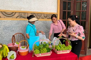 Sản phẩm nho của huyện Phúc Thọ trưng bày tại Diễn đàn.