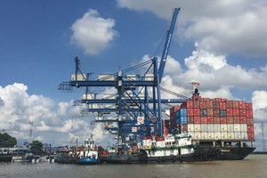 Doanh nghiệp cần có kế hoạch xuất nhập khẩu, làm cơ sở ký kết hợp đồng dài hạn với hãng tàu, giảm thiểu tối đa tác động của giá cước, phụ phí.