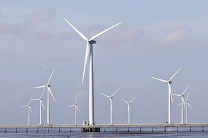 Hiện tại, cơ chế chính sách để phát triển điện gió ngoài khơi vẫn chưa có và chưa biết bao giờ mới có. Ảnh: Đ.T