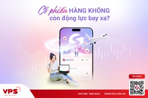 Cổ phiếu hàng không còn động lực bay xa?