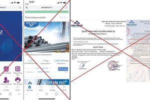 Web kêu gọi đầu tư và các văn bản quyết định giả mạo Tập đoàn Hòa Phát