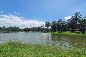 Khu vực công viên Cọ Dầu. TP. Đông Hà, tỉnh Quảng Trị