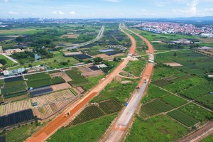 Ảnh minh hoạ. (Nguồn: Internet)