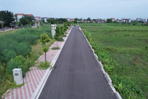 Khu đất đấu giá tại khu Ngõ Ba, thôn Thanh Thần, xã Thanh Cao (Thanh Oai, Hà Nội) Ảnh: Bất động sản Tâm Phúc