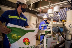 Giá phân bón hồi phục giúp các doanh nghiệp trong ngành ghi nhận lợi nhuận tích cực trong nửa đầu năm 