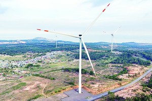 Hiện không có giá mua điện cố định (giá FIT) cho điện gió như các giai đoạn trước. Ảnh: Đức Thanh
