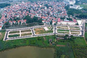 Các lô đất được đưa ra đấu giá tại huyện Hoài Đức (Hà Nội) ngày 19/8/2024, trong đó có lô đất được nhà đầu tư trả gấp hơn 18 lần so với giá khởi điểm. Ảnh: VGP