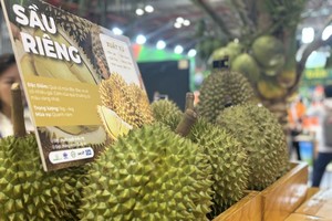 Sầu riêng Việt Nam đang phát triển mạnh mẽ.