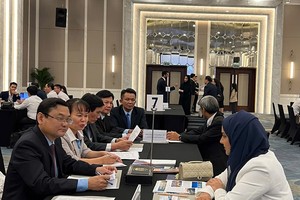 Tỉnh Bình Định làm việc với Phòng Thương mại và Công nghiệp Abu Dhabi. Ảnh: IPC Bình Định