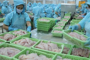 Hoạt động xuất khẩu cá tra phục hồi, nhưng giá chưa tăng