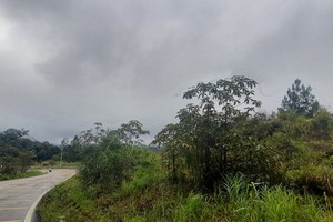 Hiện nay, Nha Trang đi Đà Lạt chỉ có một con đường là Quốc lộ 27C, thời gian di chuyển 3 - 4 giờ, địa hình quanh co, thường xuyên sạt lở. Ảnh: Linh Đan 