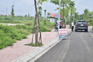 Việt Nam đứng thứ 49 trong bảng xếp hạng minh bạch BĐS; Chưa phát hiện sai phạm trong đấu giá đất Thanh Oai và Hoài Đức