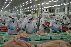 Chế biến cá tra xuất khẩu ở Đồng bằng sông Cửu Long