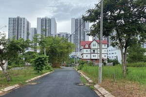 Một góc Dự án Khu dân cư Tân An Huy còn dở dang (Ảnh: N.S).