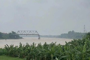 Đề xuất xây dựng mới cầu Phong Châu bằng nguồn vốn đầu tư công