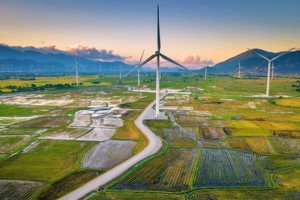 Trang trại điện gió Đầm Nại là một điểm check in được giới trẻ yêu thích tại Ninh Thuận. Ảnh: sưu tầm