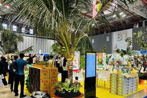 Dừa tươi Việt Nam được trưng bày tại triển lãm về xuất khẩu các ngành hàng chủ lực. Ảnh: Gia Hân