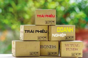 Thị trường bị áp đảo bởi trái phiếu phát hành riêng lẻ, thiếu vắng trái phiếu phát hành ra công chúng 