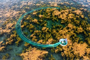 Chiêm ngưỡng những bức ảnh đẹp Việt Nam sắp được trưng bày tại Hoa Kỳ 