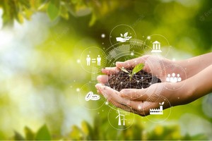 Sửa đổi Nghị định số 08/2022/NĐ-CP góp phần cắt giảm thủ tục hành chính, đẩy mạnh việc phân quyền cho các địa phương trong lĩnh vực bảo vệ môi trường. 