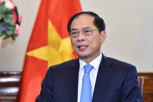 Phó thủ tướng, Bộ trưởng Bộ Ngoại giao Bùi Thanh Sơn. Ảnh: BNG