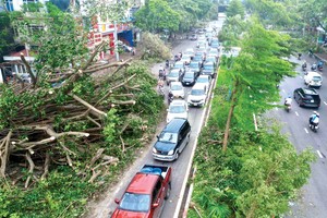 Giá trị thiệt hại do bão Yagi của các tài sản được bảo hiểm ước tính 7.000 tỷ đồng