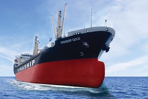 Vinalines kỳ vọng, Viconship khi tham gia vào Vinaship sẽ mang lại những giá trị cộng hưởng