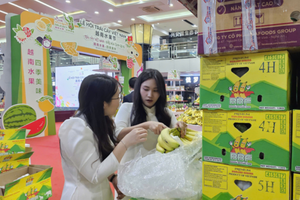 Việt Nam thu gần 1 tỷ USD xuất khẩu rau quả trong một tháng 