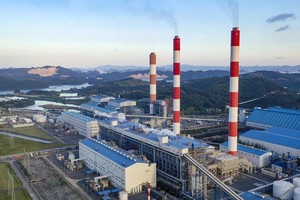 Hạn ngạch phát thải và tín chỉ carbon là hai loại hàng hóa chính trên thị trường carbon Việt Nam.