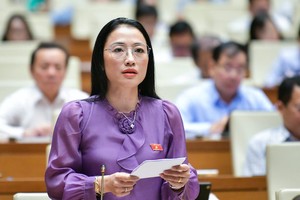 Đại biểu Trần Khánh Thu phát biểu tại hội trường.