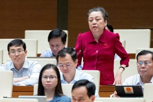 Đại biểu Phạm Khánh Phong Lan (TP.HCM).