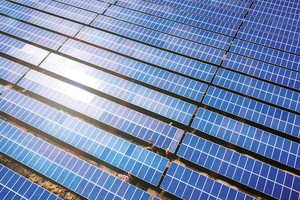 Mảng năng lượng tái tạo đang đóng góp nhiều nhất vào cơ cấu doanh thu của BCG