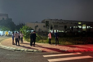 Chuyên gia dự báo 2025 sẽ là năm của đất nền và biệt thự 