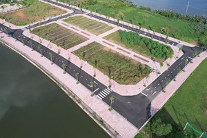 Giá trúng chỉ từ 55 triệu đồng/m2, đất đấu giá Thanh Oai tiếp tục "giảm nhiệt" 