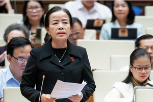 Đại biểu Nguyễn Thị Kim Thúy (Đà Nẵng) phát biểu.