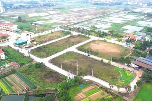 Đấu giá đất Sóc Sơn: Trả tới 30 tỷ đồng/m2, sau đó “sợ quá, xin rút”? 